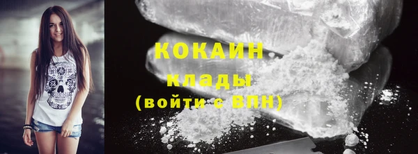 прущие грибы Абаза