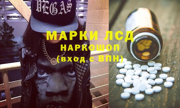 прущие грибы Абаза