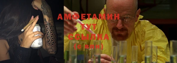 прущие грибы Абаза