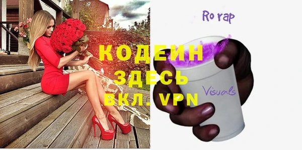 прущие грибы Абаза