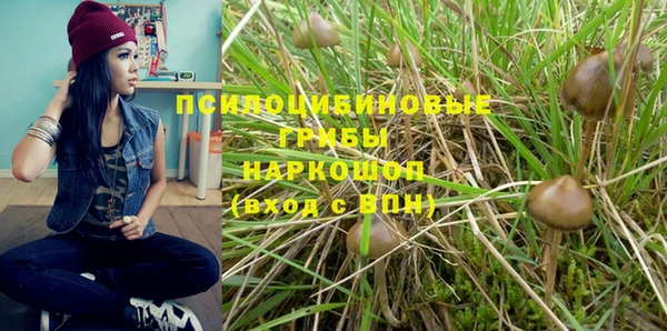 каннабис Абинск
