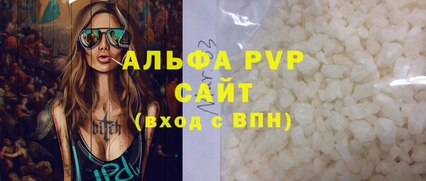 прущие грибы Абаза