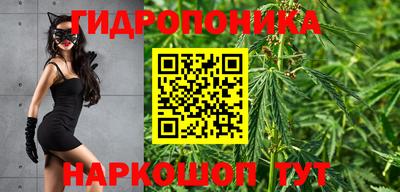 трава Комсомольск-на-Амуре