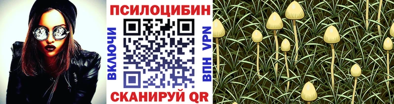 Псилоцибиновые грибы Psilocybine cubensis  что такое   Касимов 